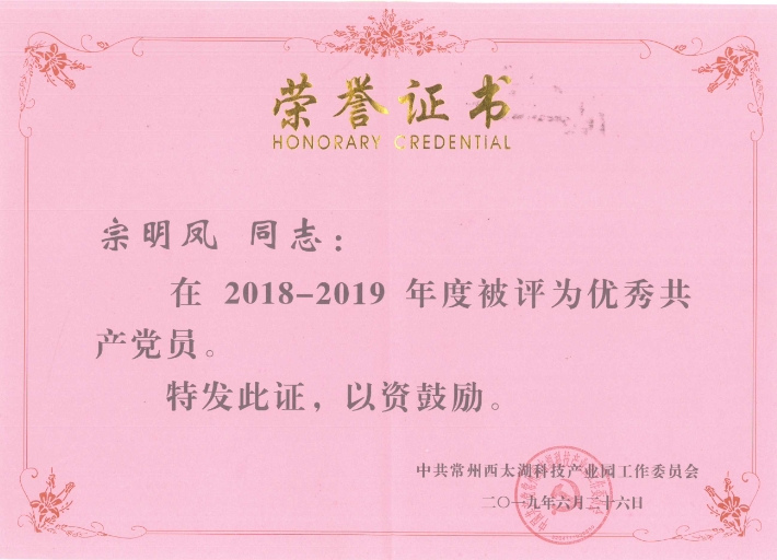 热烈祝贺我司宗明凤同志获“2018-2019年度优秀党员”荣誉称号
